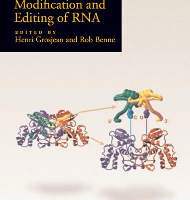 Modificiaton and Editing of RNA