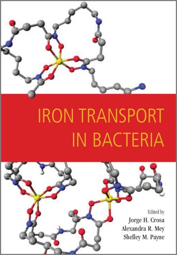 Iron Transport in Bacteria