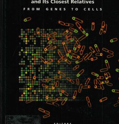 Bacillus Subtilis and Its Closest Relatives: From Genes to Cells