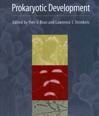 Prokaryotic Development