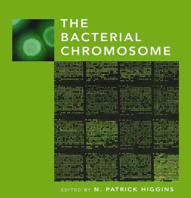 Bacterial Chromosomes