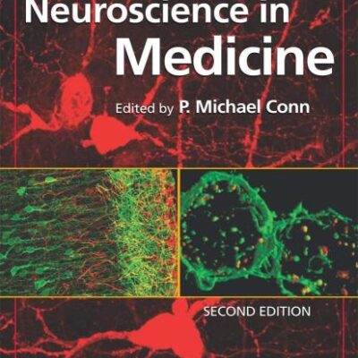 Neuroscience in Medicine