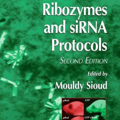Ribozymes and Sirna Protocols (Hb): 252 (Methods in Molecular Biology)