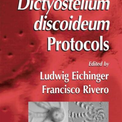 DICTYOSTELIUM DISCOIDEUM PROTOCOLS (HB): 346 (Methods in Molecular Biology)