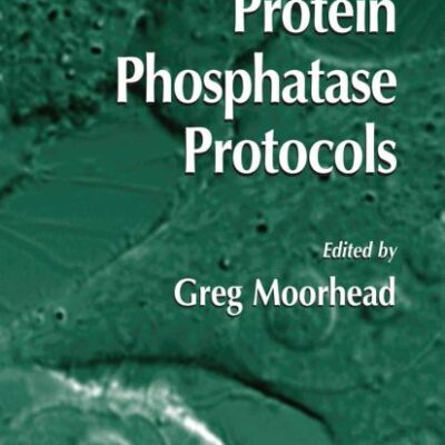 PROTEIN PHOSPHATASE PROTOCOLS (HB): 365 (Methods in Molecular Biology)