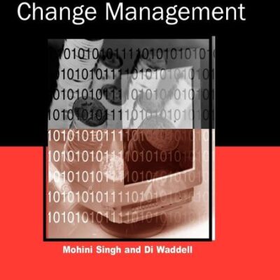 e-Business Innovation and Change Management