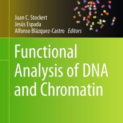 Functional Analysis of DNA and Chromatin: 1094 (Methods in Molecular Biology)