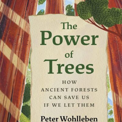 The Power of Trees: How Ancient Forests Can Save Us if We Let Them (From the Author of The Hidden Life of Trees)