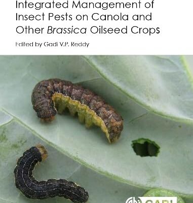 INTEGRATED MANAGEMENT OF INSECT PESTS ON CANOLA AND OTHER BRASSICA OILSEED CROPS