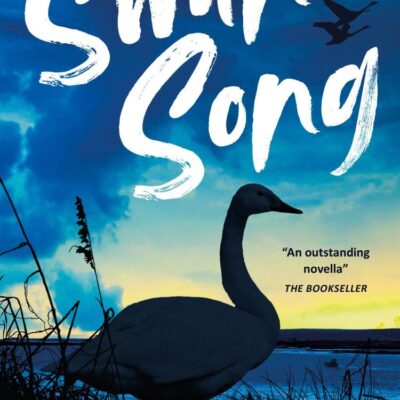Swan Song: Award-winning author Gill Lewis explores the redemptive power of nature for struggling young people in this touching tale.