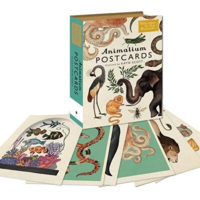 BONNIER Animalium All Occasion Postcards