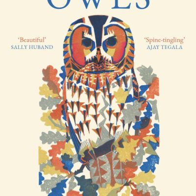 The Company of Owls: The perfect stocking filler the bird lover in your life
