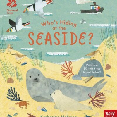 National Trust: Who's Hiding at the Seaside? (Who's Hiding Here?)