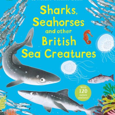 National Trust: Sharks, Seahorses and other British Sea Creatures