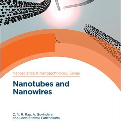 NANOTUBES AND NANOWIRES: VOLUME 52 (Nanoscience & Nanotechnology Series)