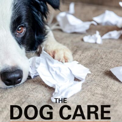 The Dog Care Handbook: Things I Wish My Vet Had Told Me