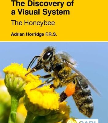 DISCOVERY OF A VISUAL SYSTEM - THE: The Honeybee: Light Guides, Optics, Visual Cues, Optic Flow, Route Finding