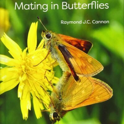 COURTSHIP AND MATING IN BUTTERFLIES