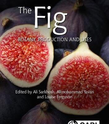 FIG : BOTANY, PRODUCTION AND USES