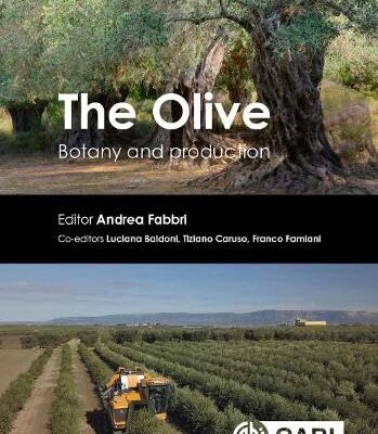 The Olive: Botany and Production