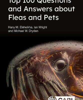 TOP 100 QUESTIONS AND ANSWERS ABOUT