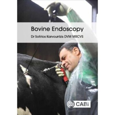 Bovine Endoscopy
