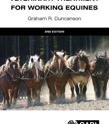 Veterinary Treatment for Working Equines