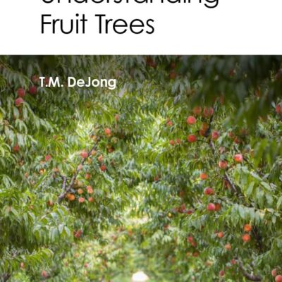 CONCEPTS FOR UNDERSTANDING FRUIT TREES