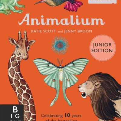 Animalium (Junior Edition) (Welcome To The Museum)