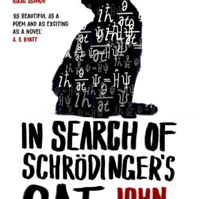 In Search Of Schrodinger's Cat: Updated Edition