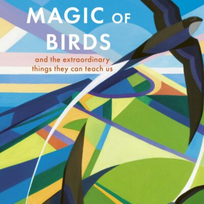 Life-Affirming Magic Of Birds, The: And the Extraordinary Things They Can Teach Us