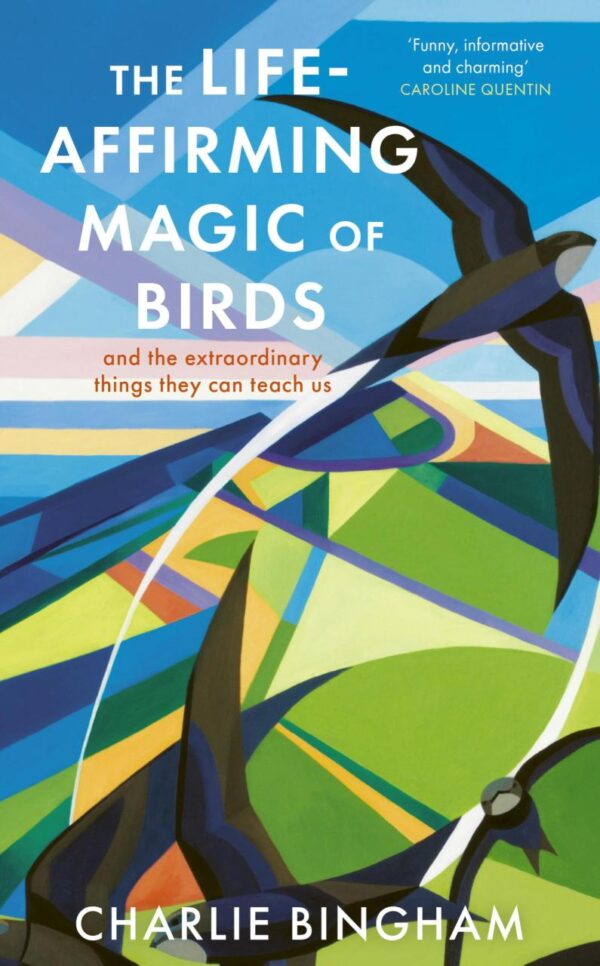 Life-Affirming Magic Of Birds, The: And the Extraordinary Things They Can Teach Us