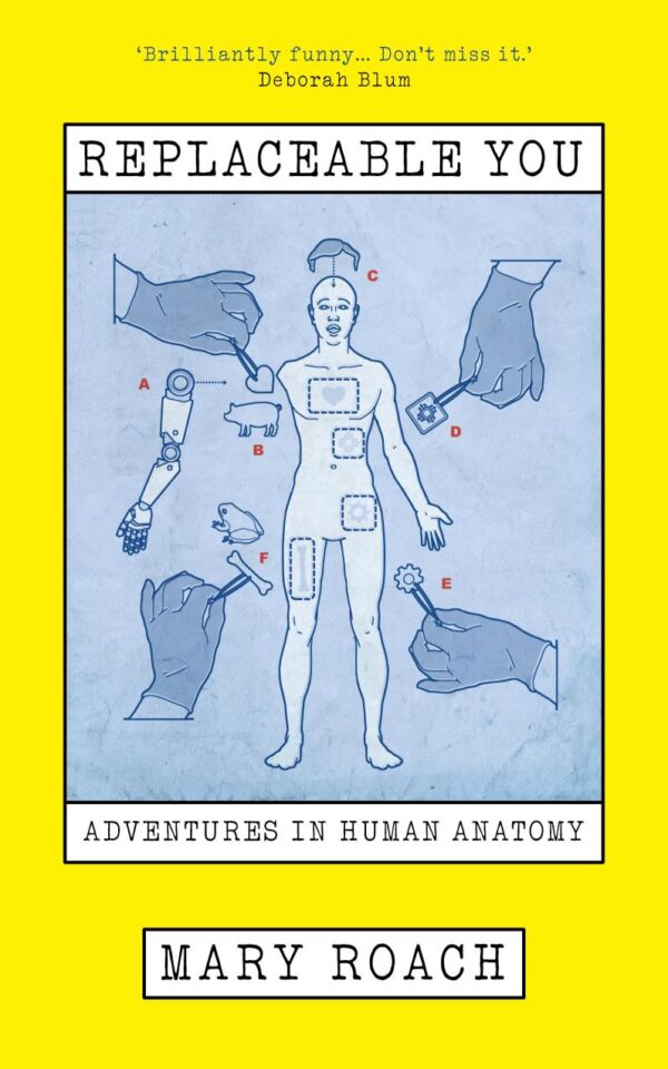 Replaceable You : Adventures in Human Anatomy