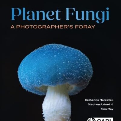 Planet Fungi: A Photographer's Foray