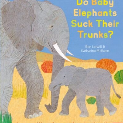 Do Baby Elephants Suck Their Trunks? - Amazing Ways Animals Are Just Like Us