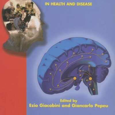 The Brain Cholinergic System