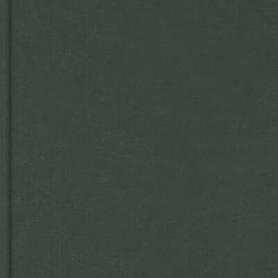 UNDERSTANDING DIFFICULTIES IN LITERACY DEVELOPMENT: ISSUES AND CONCEPTS