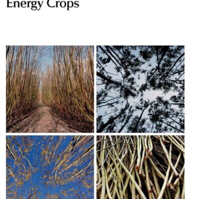 ENERGY CROPS