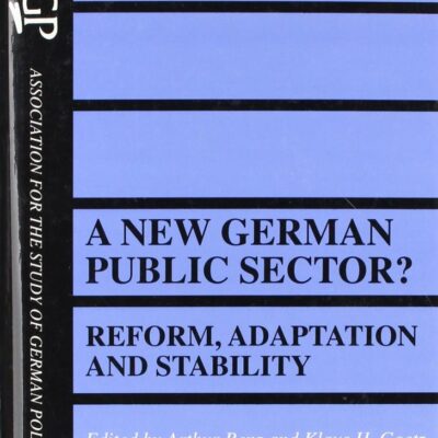 A New German Public Sector?: Reform, Adaptation and Stability (Association for the Study of German Politics)