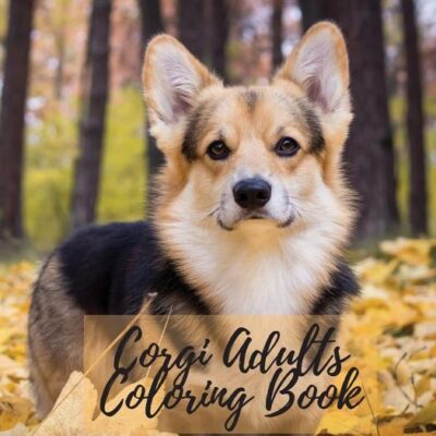 OCULOPLASTIC SURGERY