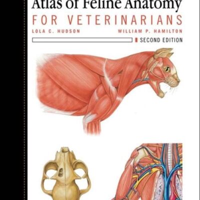 Atlas of Feline Anatomy for Veterinarians