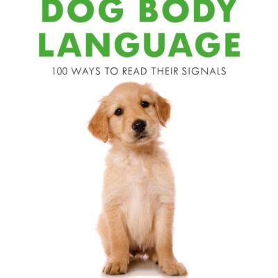 Dog Body Language