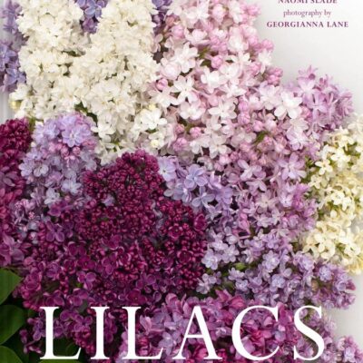 Lilacs: Beautiful varieties for home and garden