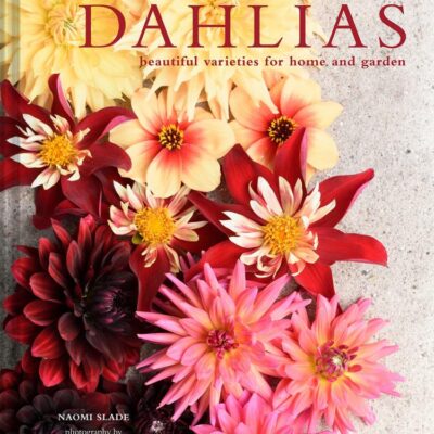Dahlias: The ultimate flower guide for growing, flowering and cutting varieties for the home and gardening