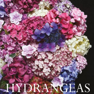 Hydrangeas