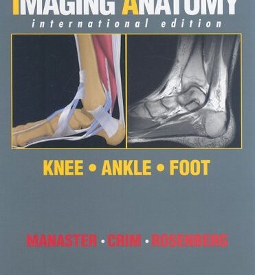 Diagnostic and Surgical Imaging Anatomy: Knee, Ankle, Foot