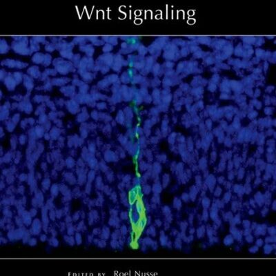 WNT Signaling