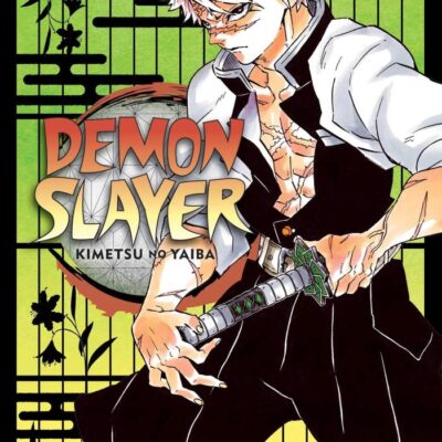 DEMON SLAYER: KIMETSU NO YAIBA, VOL. 17