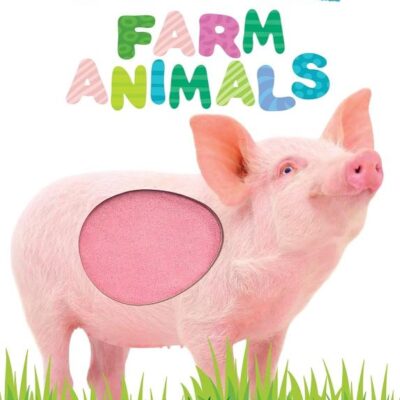 Farm Animals Touch and Feel Book