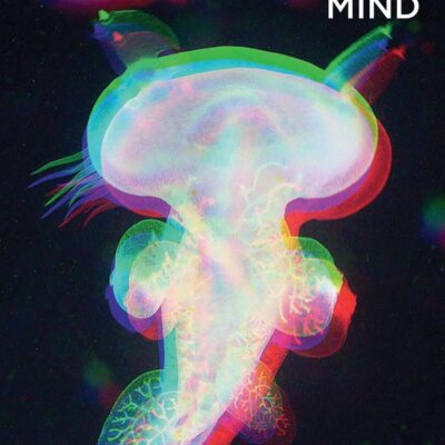 RECIPES FOR THE MIND